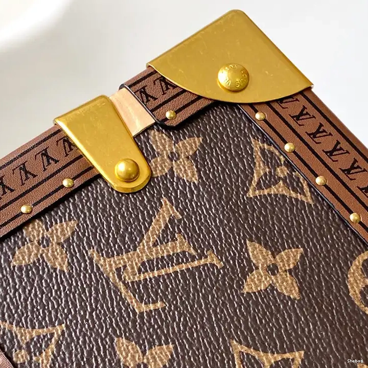 2406YA0132 LV Bags 0810